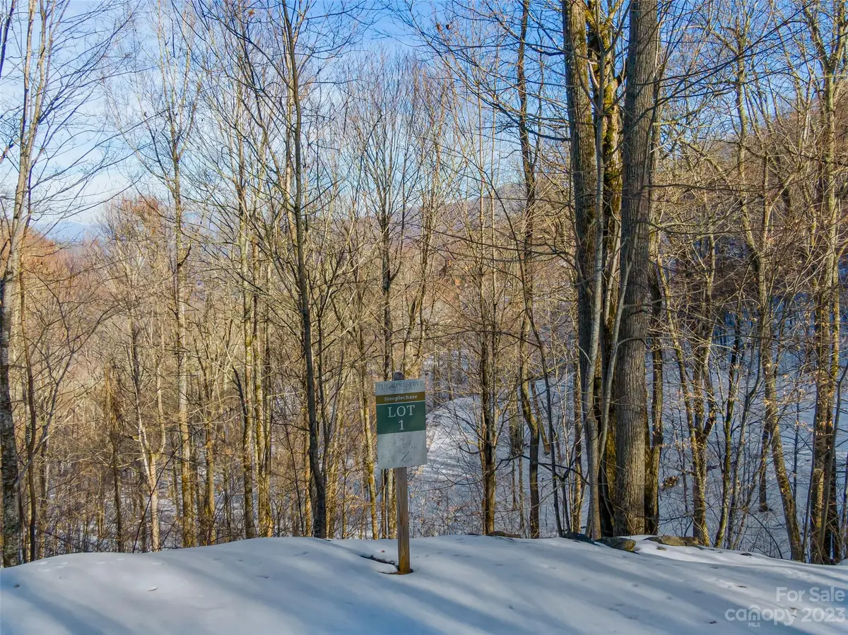 Lot 1 Mountain Gait Drive, Mars Hill, NC 28754 - Image #1