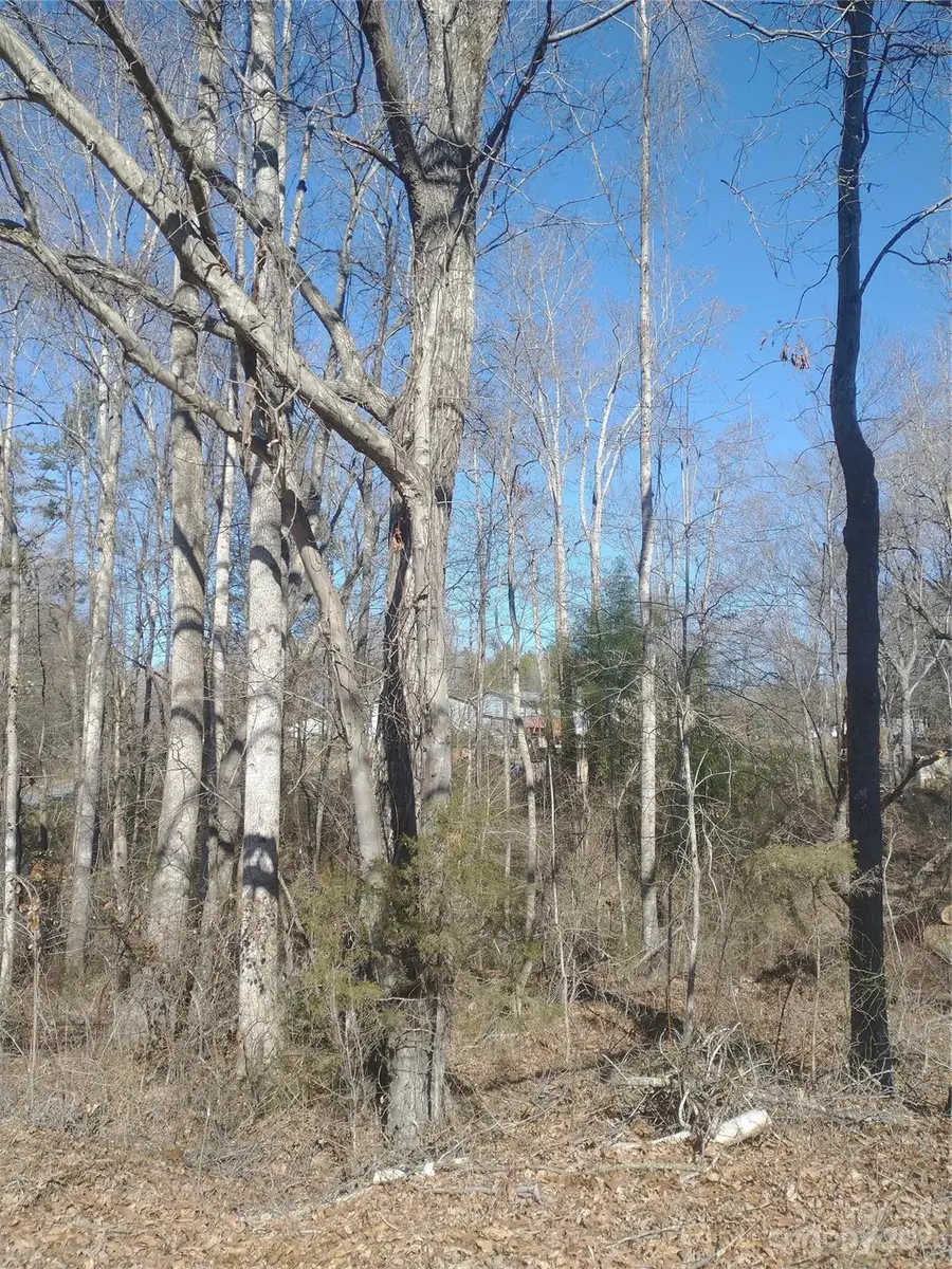 3360 Tolley Street, Claremont, NC 28610 - Image #3