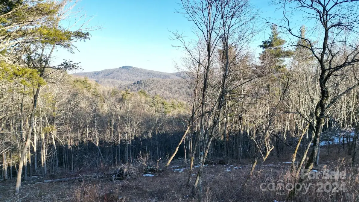 Lot 73 Linhigh Drive, Newland, NC 28657 - Image #1