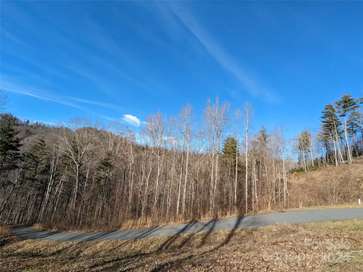 27 Bent Branch Lane #10, Asheville, NC 28804 - Image #1