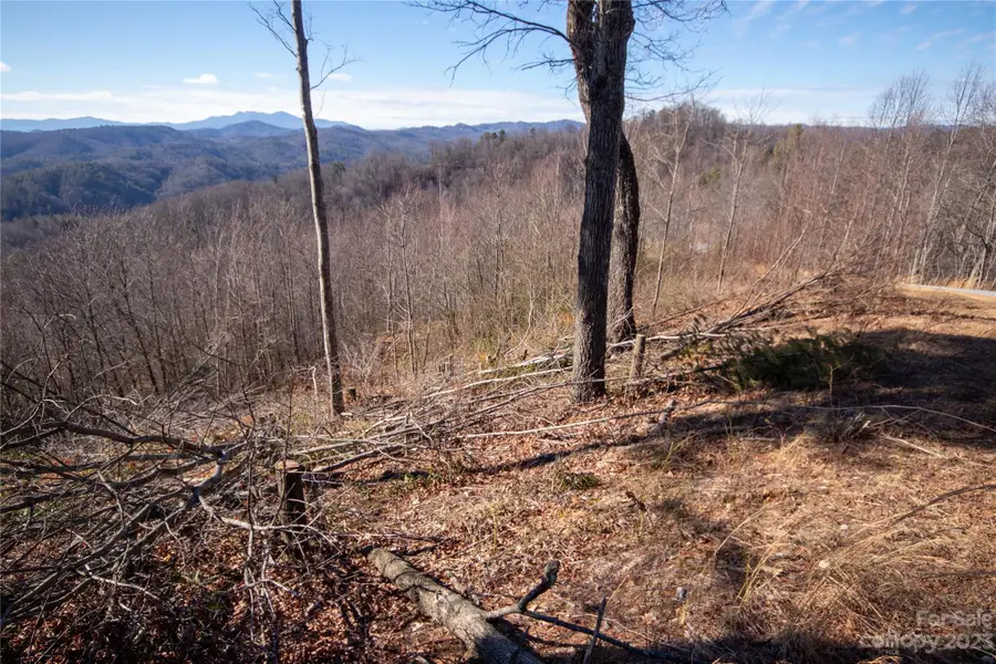 Lot# 137 Fire Crest Lane #137, Lenoir, NC 28645 - Image #2