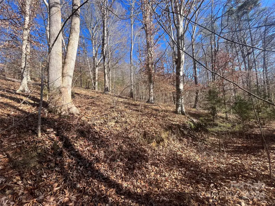 TBD Cross Creek Drive, Rutherfordton, NC 28139 - Image #2