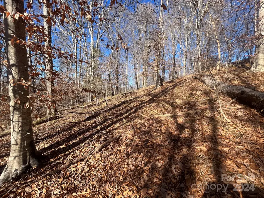 TBD Cross Creek Drive, Rutherfordton, NC 28139 - Image #3