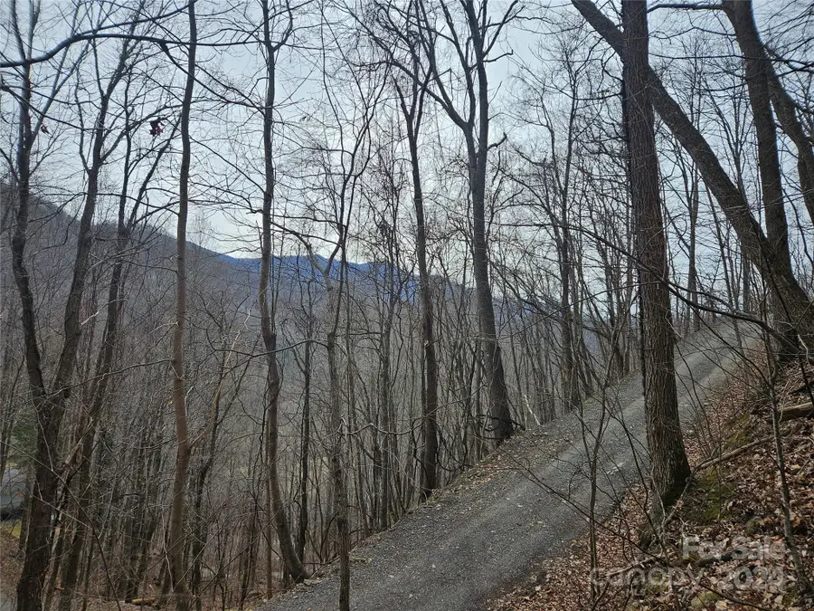 000 Jade Drive #5&6, Clyde, NC 28721 - Image #2