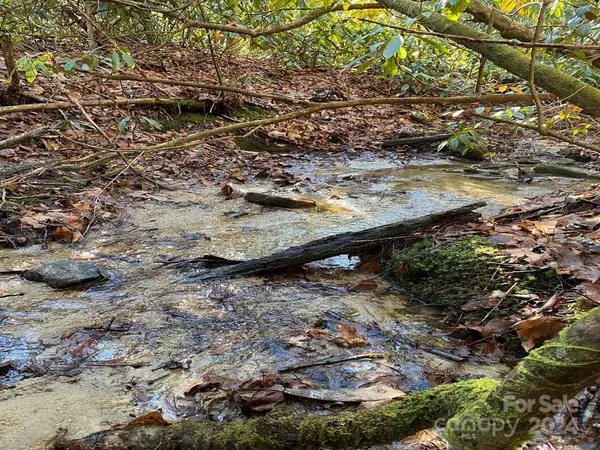 L41 Abby Falls Road #L41, Rosman, NC 28772