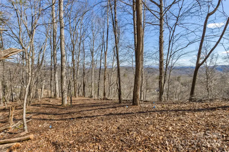 0 Anderson Branch Road, Marshall, NC 28753 - Image #3