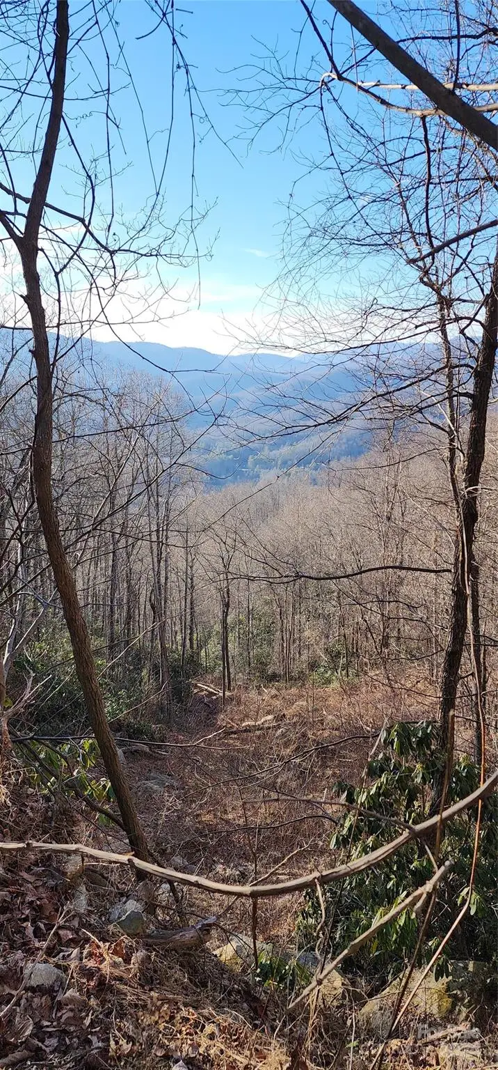 9999 Still Spring Road #Lot 4, Black Mountain, NC 28711 - Image #2