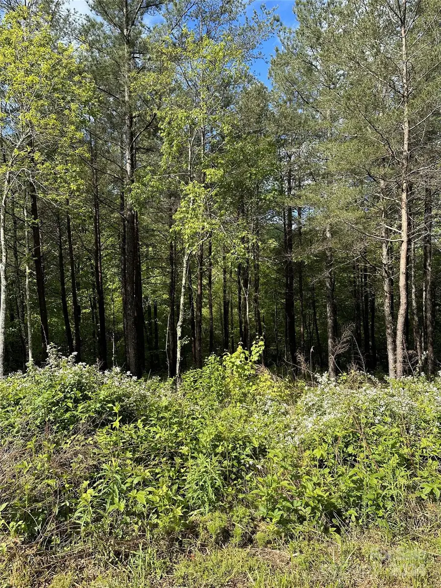 000 Shire Lane, Union Mills, NC 28167 - Image #2