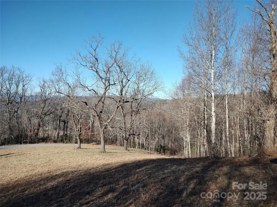 0 Vineyard Hill Drive, Fletcher, NC 28732 - Image #2