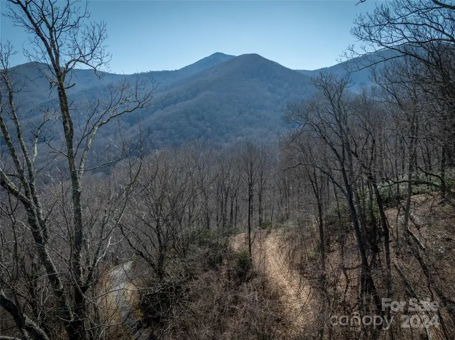 58 Kings Ridge Road #58, Maggie Valley, NC 28751 - Image #3