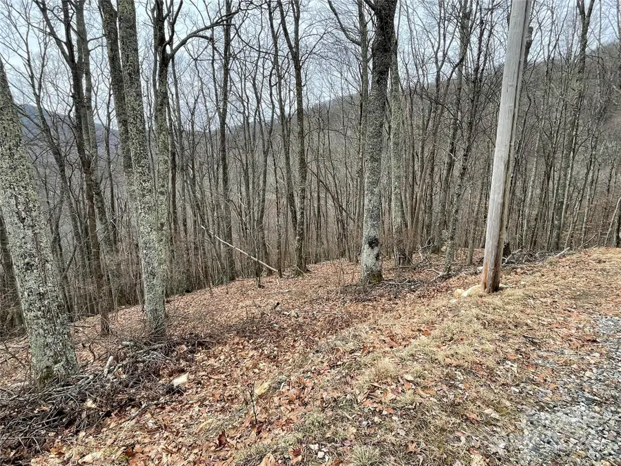 102 Flame Azalea Lane, Mars Hill, NC 28754 - Image #2