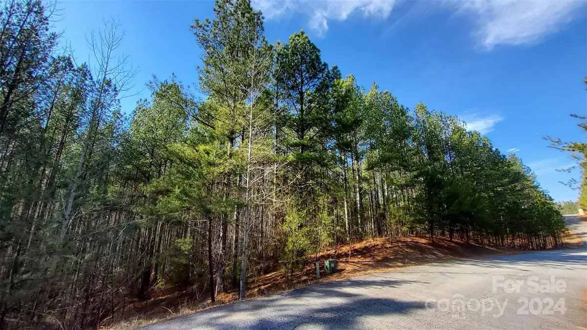 0 Sunset Drive #20, Mill Spring, NC 28756 - Image #1