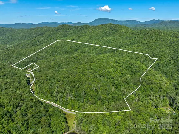 0 Frozen Creek Road, Brevard, NC 28712