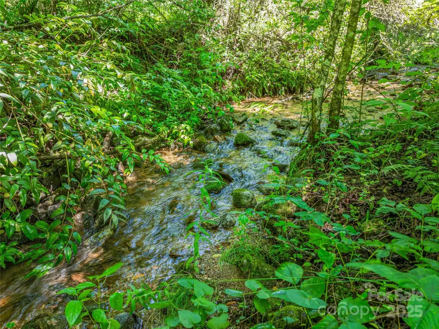 0 Frozen Creek Road, Brevard, NC 28712 - Image #2