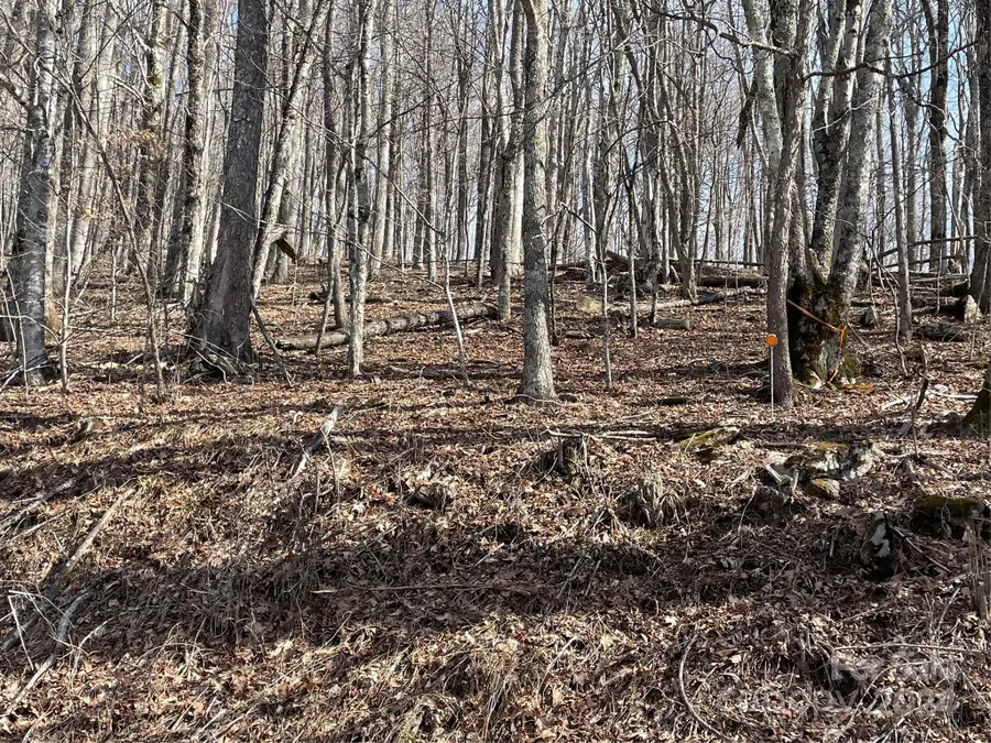 000 El Miner Drive #464, Mars Hill, NC 28754 - Image #3