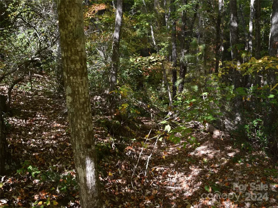 381 Martha Lynns Lane, Lake Lure, NC 28746 - Image #3