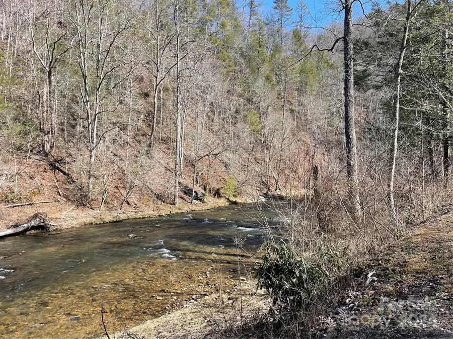 000 Bear River Lodge Trail #77, Marshall, NC 28753 - Image #3