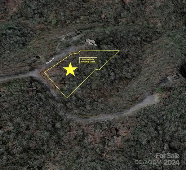 TBD Elaqua Court #54 & 55A/26, Brevard, NC 28712