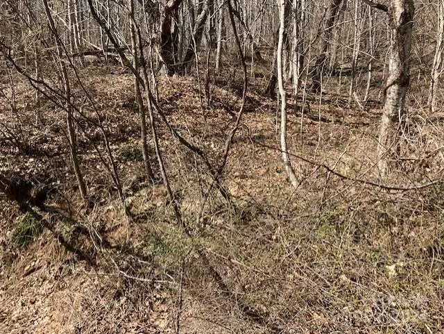 00 Wahwah Way #26, Waynesville, NC 28785 - Image #3