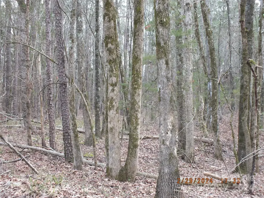 00 Craig Farm Road, Lancaster, SC 29720 - #2