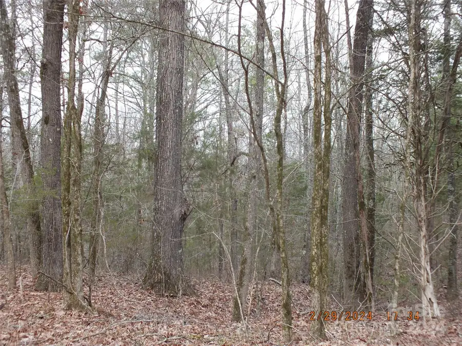 00 Craig Farm Road, Lancaster, SC 29720 - #3