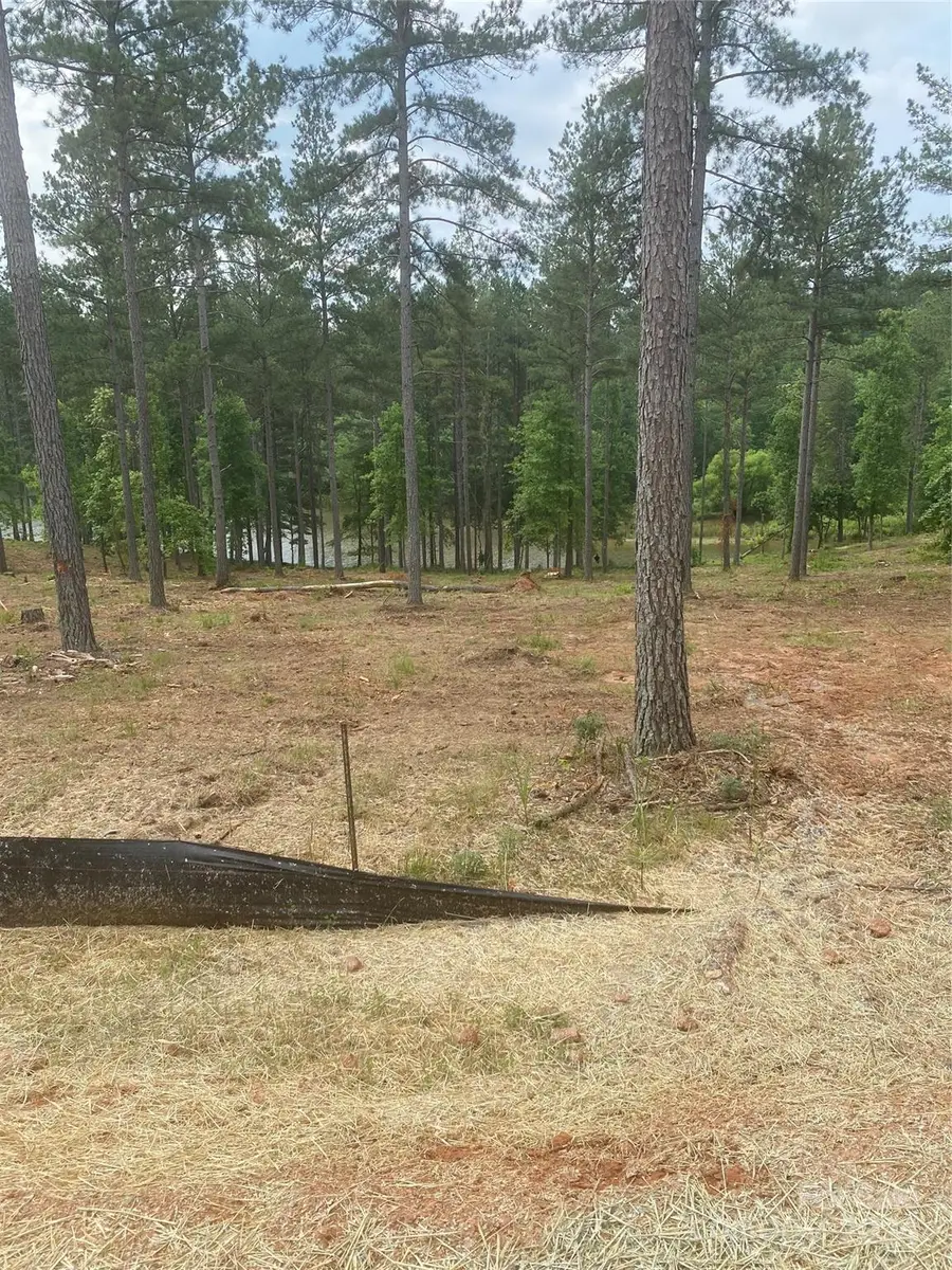 2206 Snowmass Drive, Connelly Springs, NC 28612 - Image #2