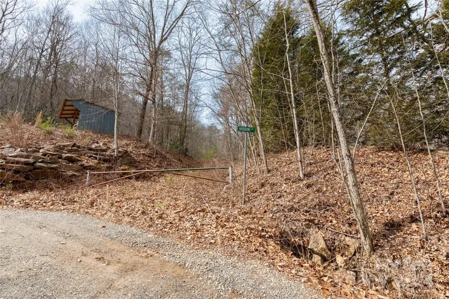 48 Houdini Trail, Canton, NC 28716 - Image #2