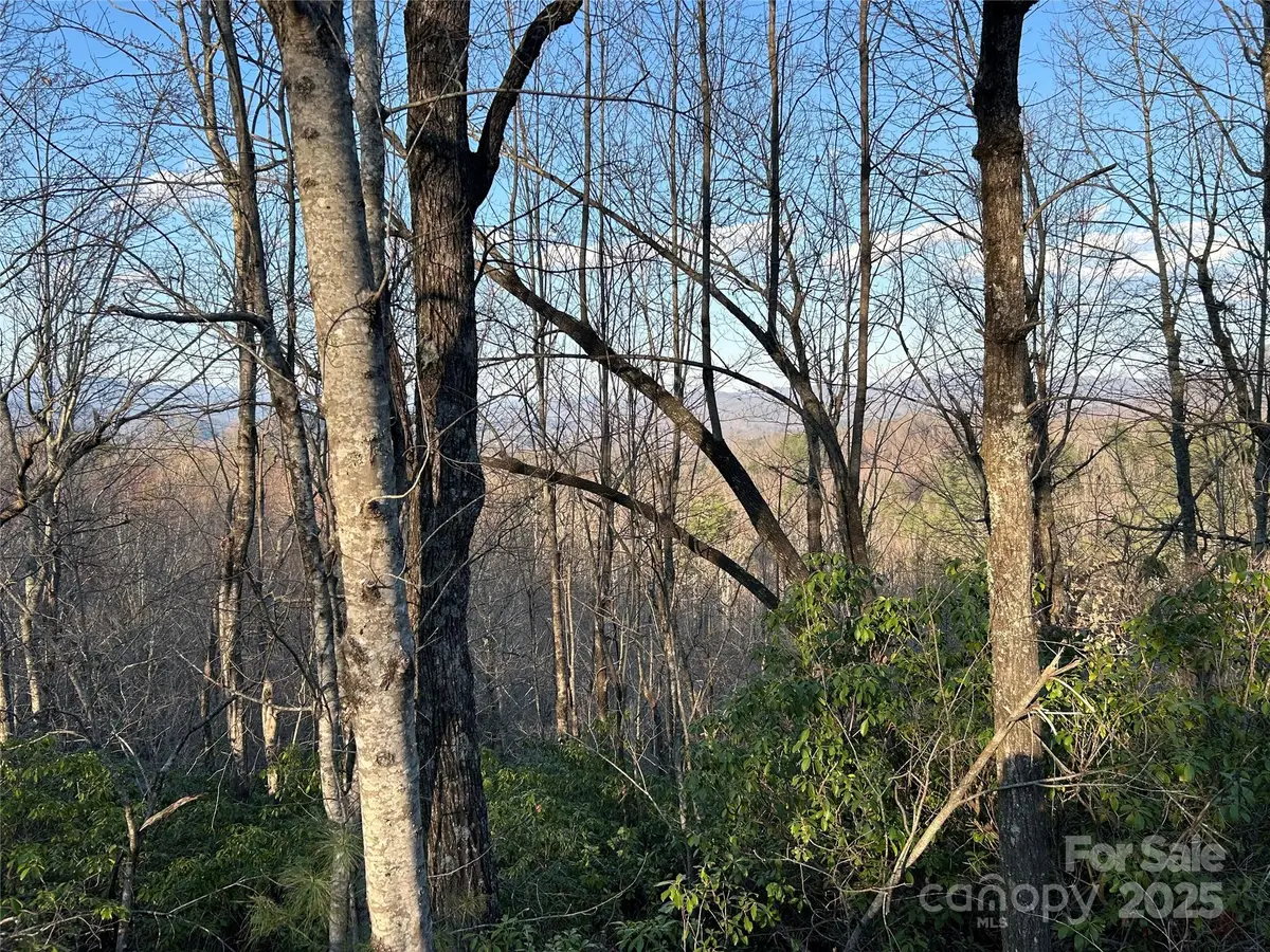 00 Howell Road, Brevard, NC 28712 - Image #1
