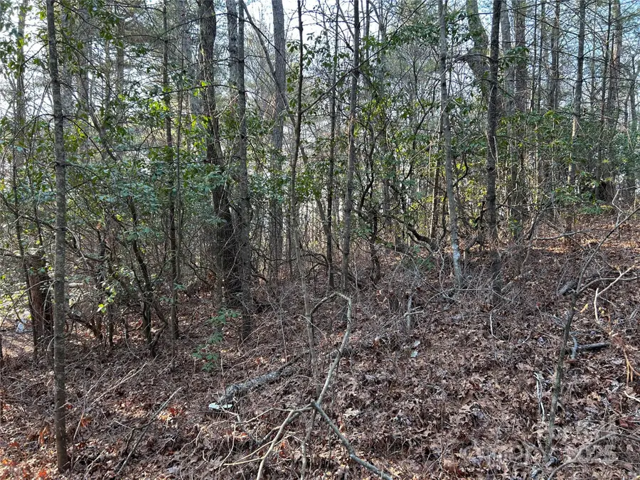 00 Howell Road, Brevard, NC 28712 - Image #3