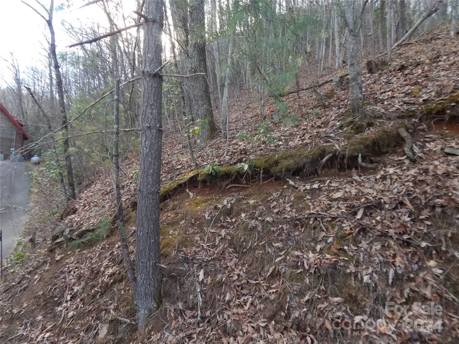 00 Hoot Owl Bill Road, Maggie Valley, NC 28751 - #2