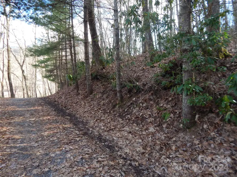 00 Hoot Owl Bill Road, Maggie Valley, NC 28751 - #3