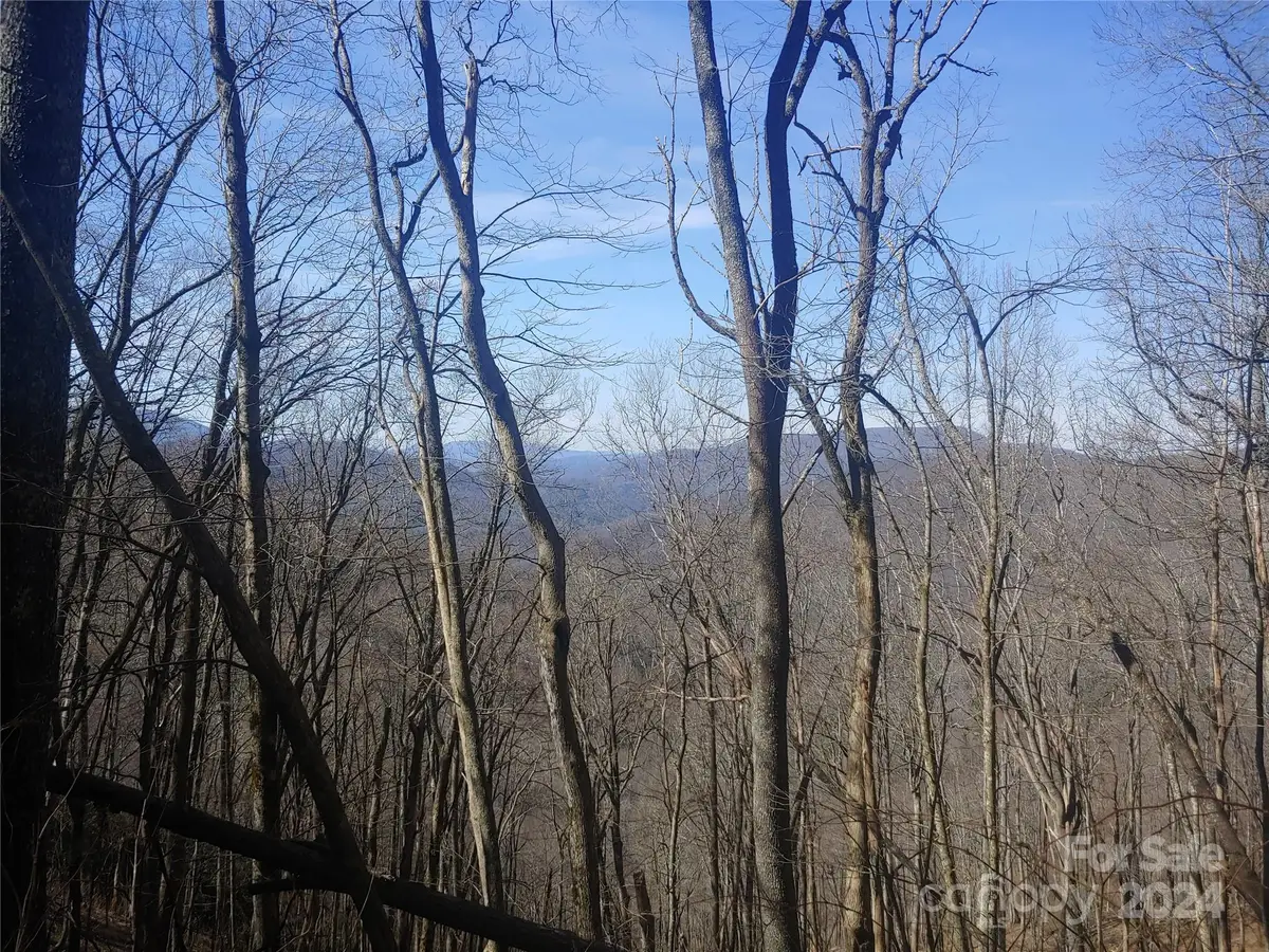 38 Barn Cove Road, Clyde, NC 28721 - Image #1