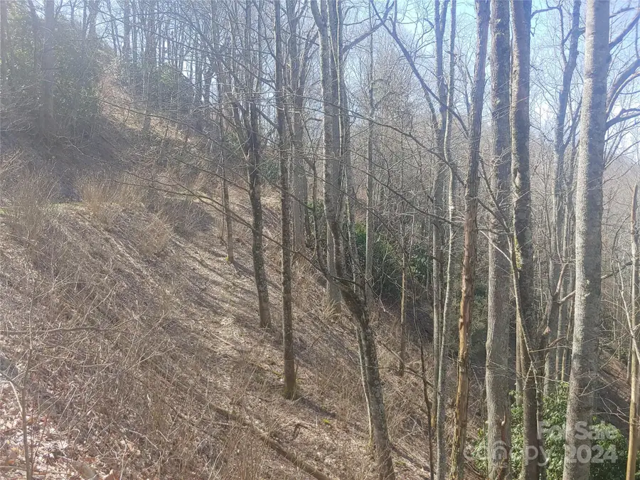 38 Barn Cove Road, Clyde, NC 28721 - Image #2