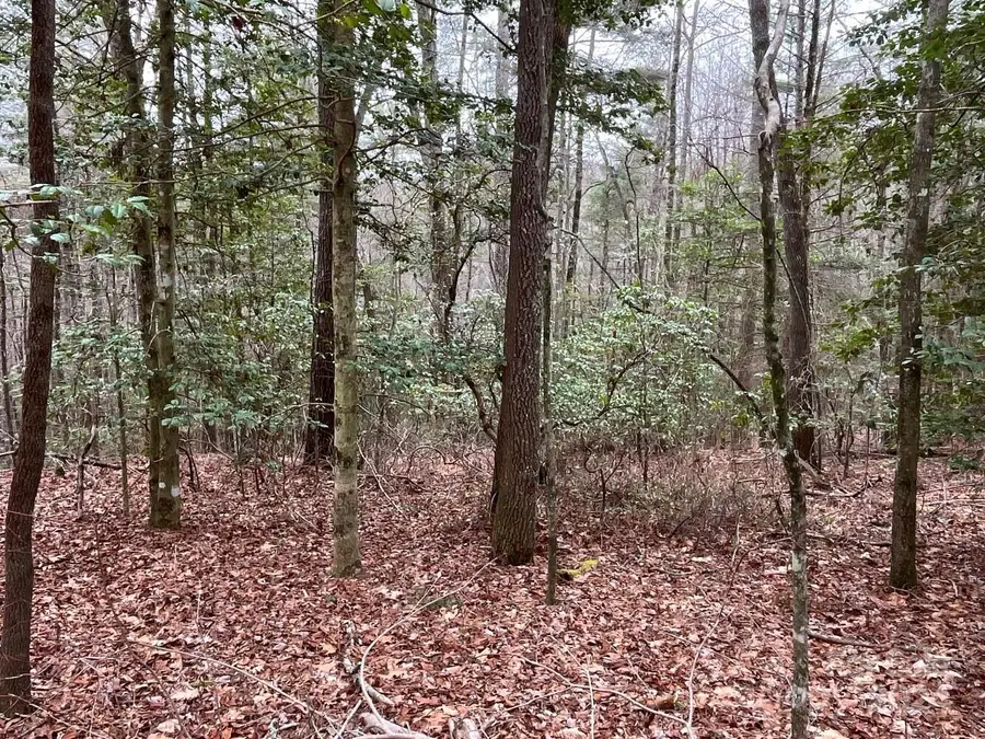 9999 Upper Whitewater Road #122, Sapphire, NC 28774 - Image #3