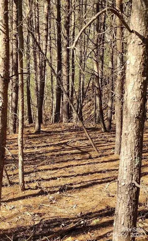 Lot 30 Laurel Valley Drive, Marion, NC 28752 - Image #3