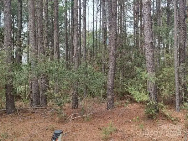 219 Coosaw River Road, Beaufort, SC 29908