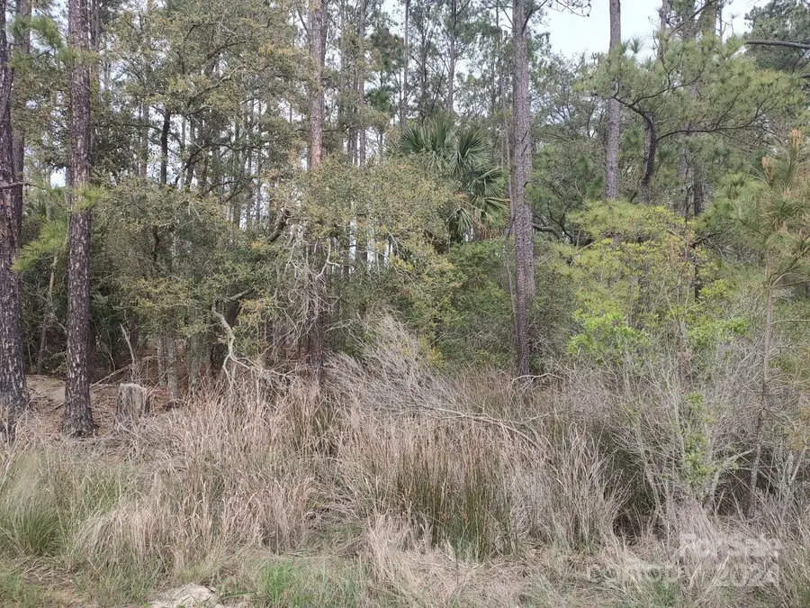 219 Coosaw River Road, Saint Helena Island, SC 29908 - Image #2