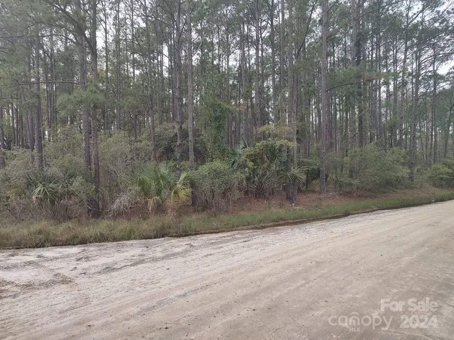 219 Coosaw River Road, Saint Helena Island, SC 29908 - Image #3
