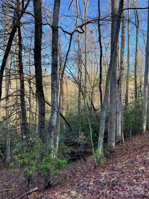 000 Old Ccc Road, Hendersonville, NC 28739