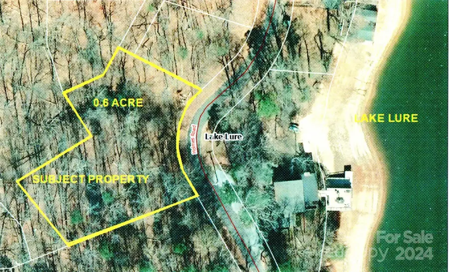 0 Holmes Road, Lake Lure, NC 28746 - Image #3