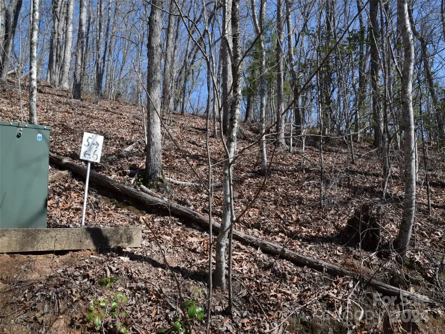 Lot 5 Horseshoe Bluff, Whittier, NC 28789 - Image #2