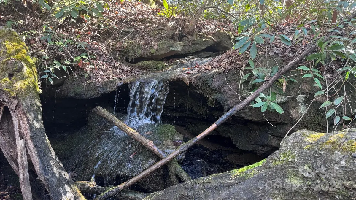 0 Redbird Drive #179, Lake Lure, NC 28746 - Image #1