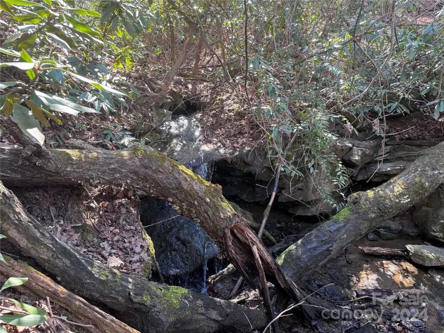 0 Redbird Drive #179, Lake Lure, NC 28746 - Image #3