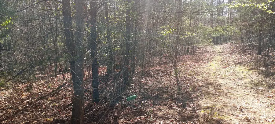 Lot 6 Lane Street #6, Morganton, NC 28655 - Image #3