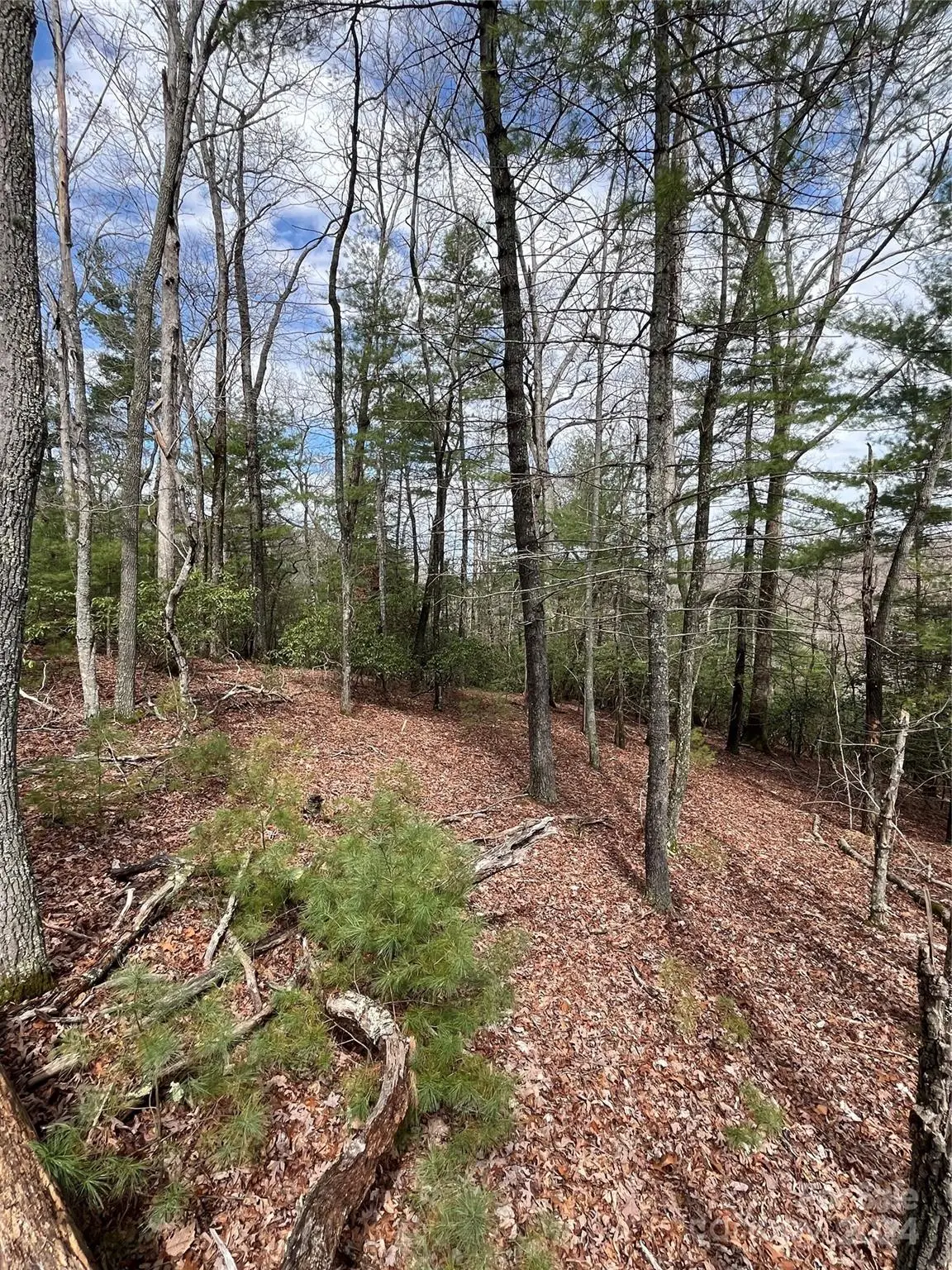 9 French Broad Overlook #Lot 3, Arden, NC 28704 - Image #1
