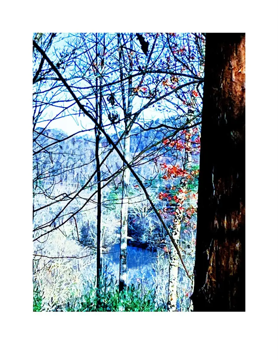 6 French Broad Overlook #Lot 2, Arden, NC 28704 - Image #2