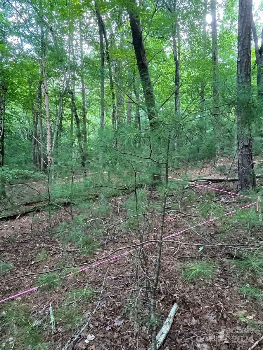3 French Broad Overlook #Lot 1, Arden, NC 28704 - Image #3