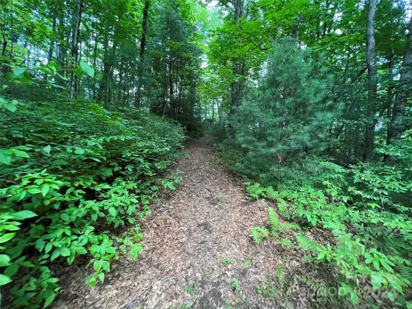 0000 Courtney Court, Brevard, NC 28712