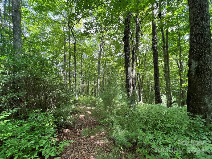 0000 Courtney Court, Brevard, NC 28712 - Image #3