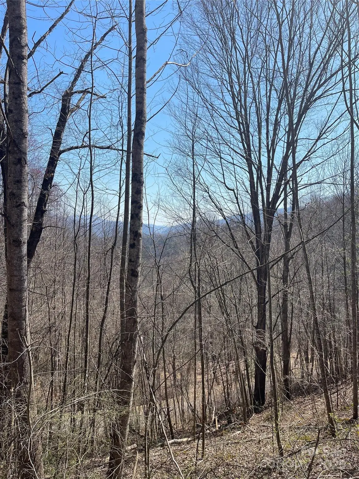000 Trotters Trail, Waynesville, NC 28785 - Image #1